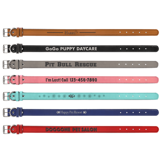 Medium Pet Collar